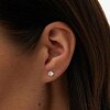 Серебряные серьги-гвоздики с фианитами 5 мм. Miestilo